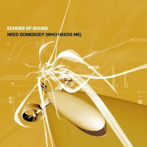 Echoes Of Sound - Need Somebody (Who Needs Me)