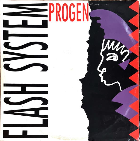 Flashsystem - Progen