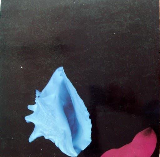 New Order - Touched By The Hand Of God