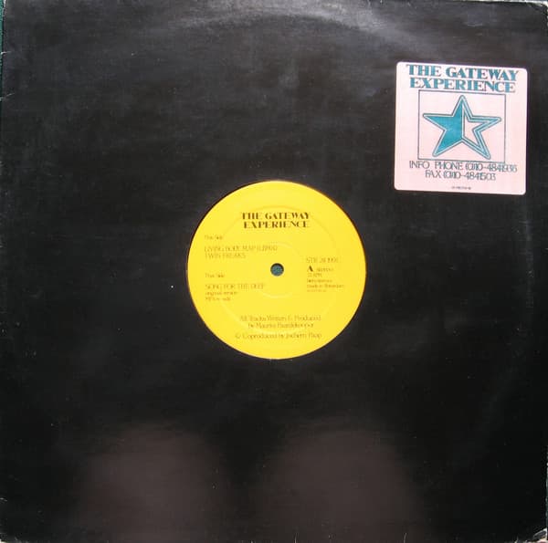 The Gateway Experience - Living Body Map (LBM) / Twin Freaks