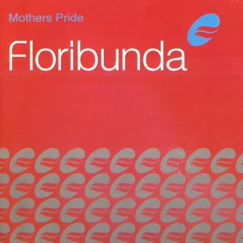 Mother's Pride - Floribunda
