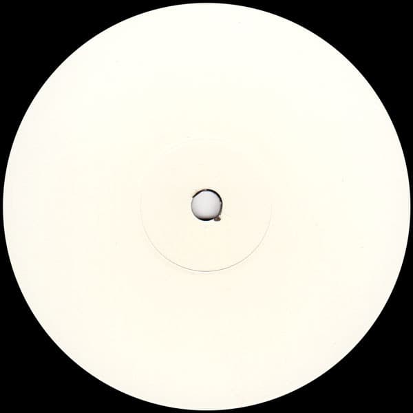 DJ David Dam - Along Came