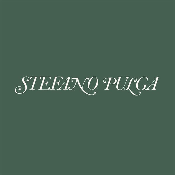 Stefano Pulga - Love Taker / Desideri Pensieri
