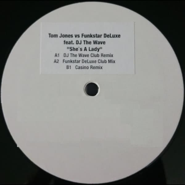Tom Jones Vs Funkstar De Luxe Feat. Dj The Wave - She's A Lady