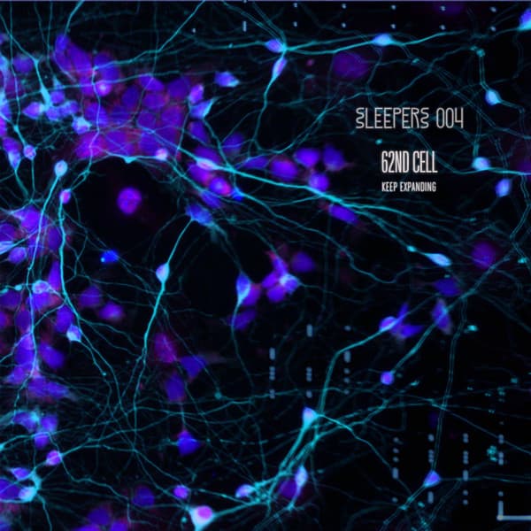 62nd Cell - Keep Expanding